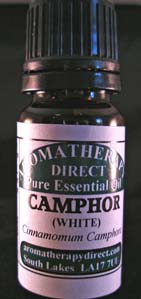 Camphor (Cinnamomum Camphora) Mainly China. - Click Image to Close